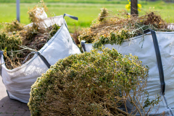 Best Yard Waste Removal  in Mazon, IL